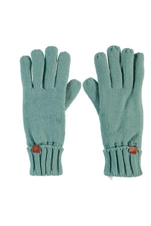 handschoenen blauw