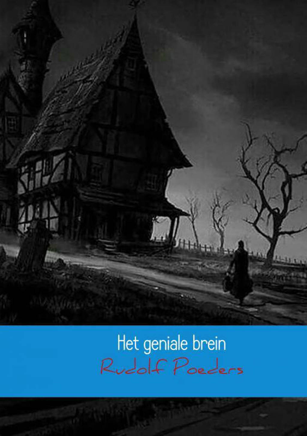 Het geniale brein - Rudolf Poeders