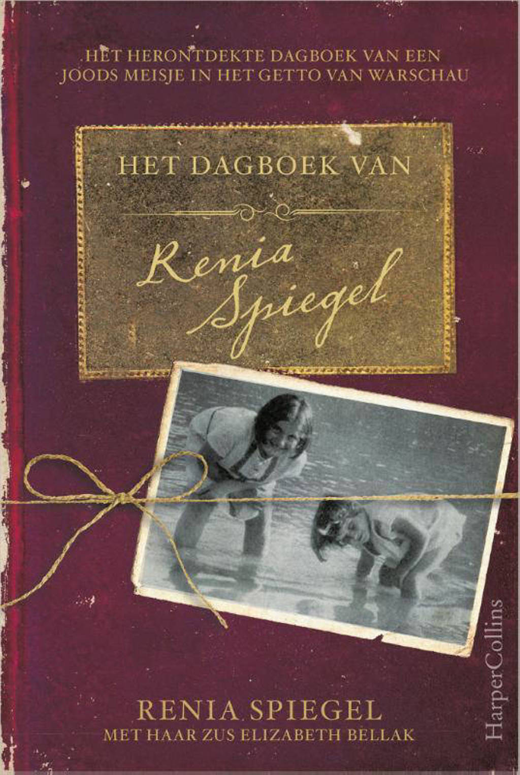 Het dagboek van Renia Spiegel - Renia Spiegel