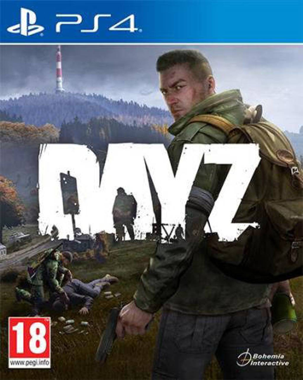DayZ (PlayStation 4)