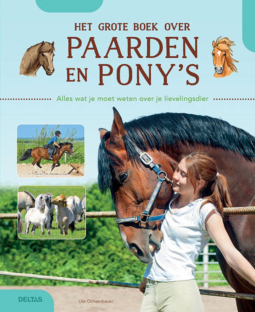 Eik oorsprong Lunch Ute OCHSENBAUER Het grote boek over paarden en pony's | wehkamp