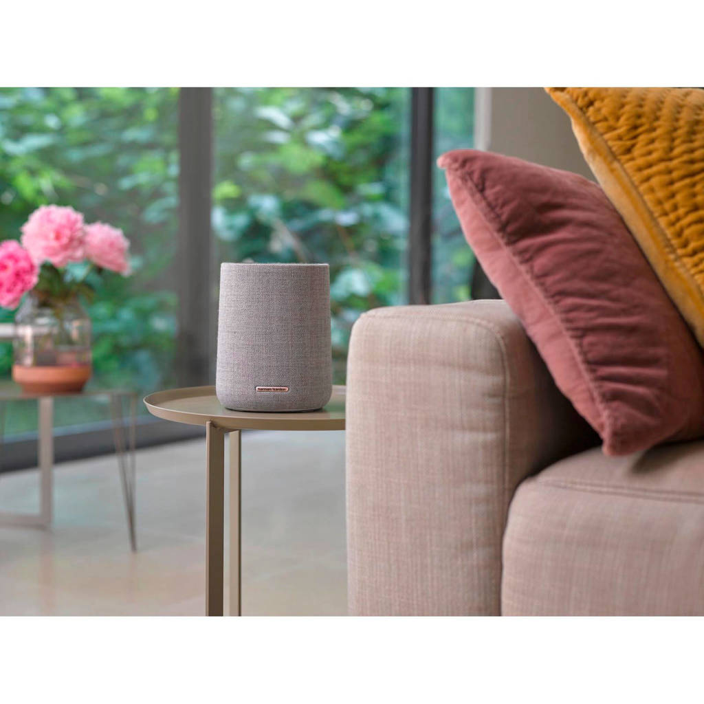 Harman Kardon Citation One Duo Smart speakers (grijs