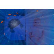 thumbnail: Zazu Cody Ocean Projector
