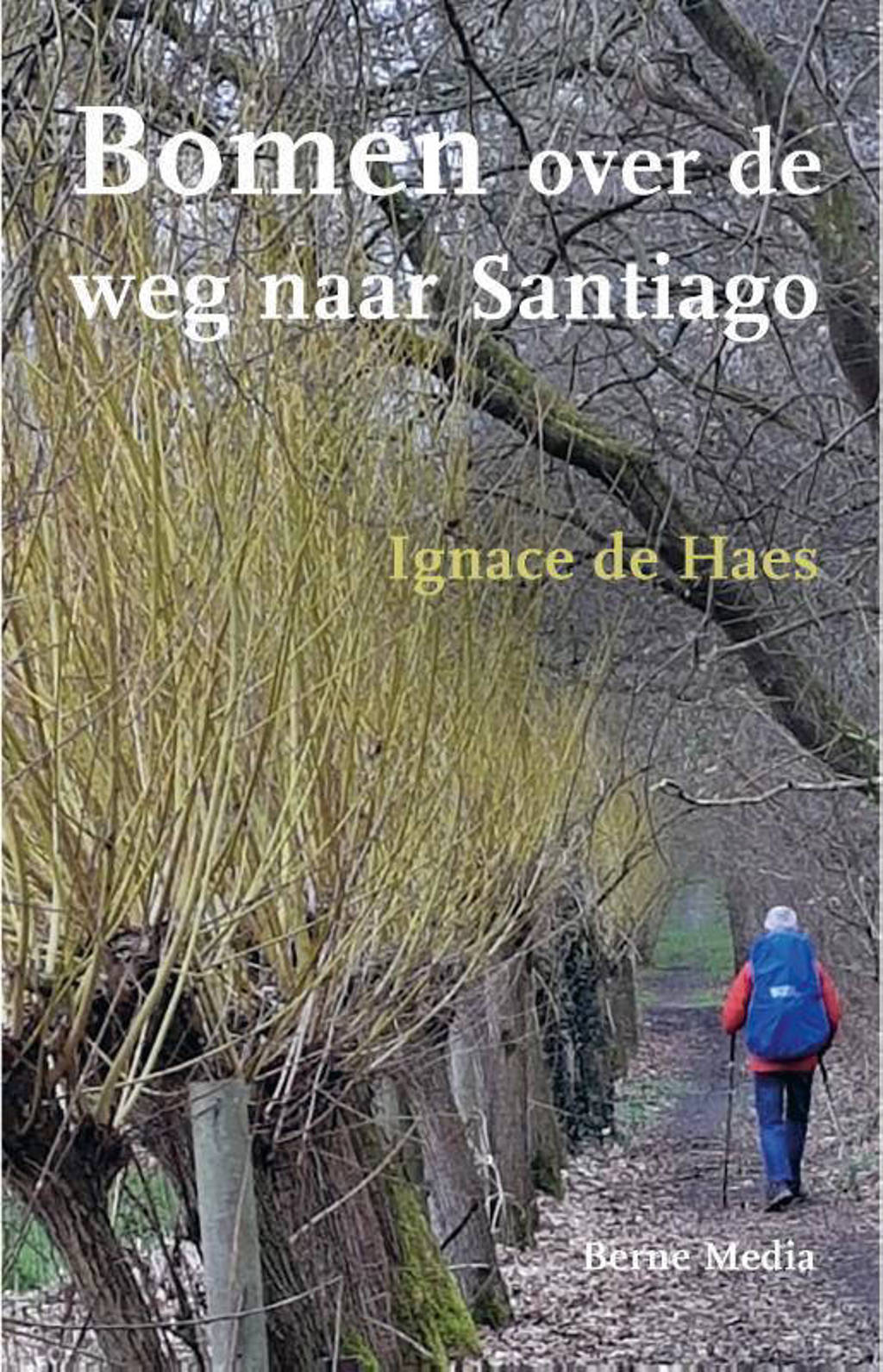 Bomen over de weg naar Santiago - Ignace de Haes