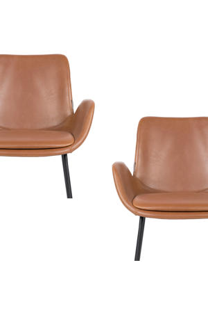 eetkamerstoel Brit (set van 2) 
