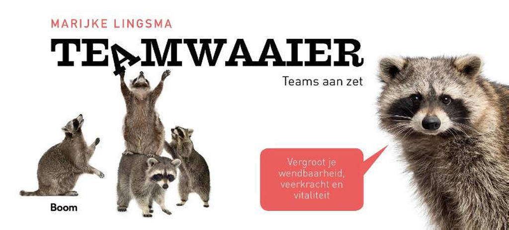 Teamwaaier - Marijke Lingsma