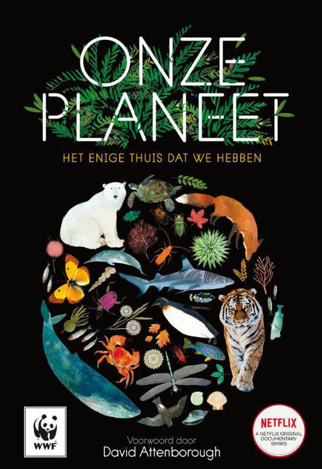 Onze planeet - Matt Whyman