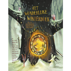 Het wonderlijke winterboek - Marianne Busser, Lisa Manuels, Iris Boter, e.a.