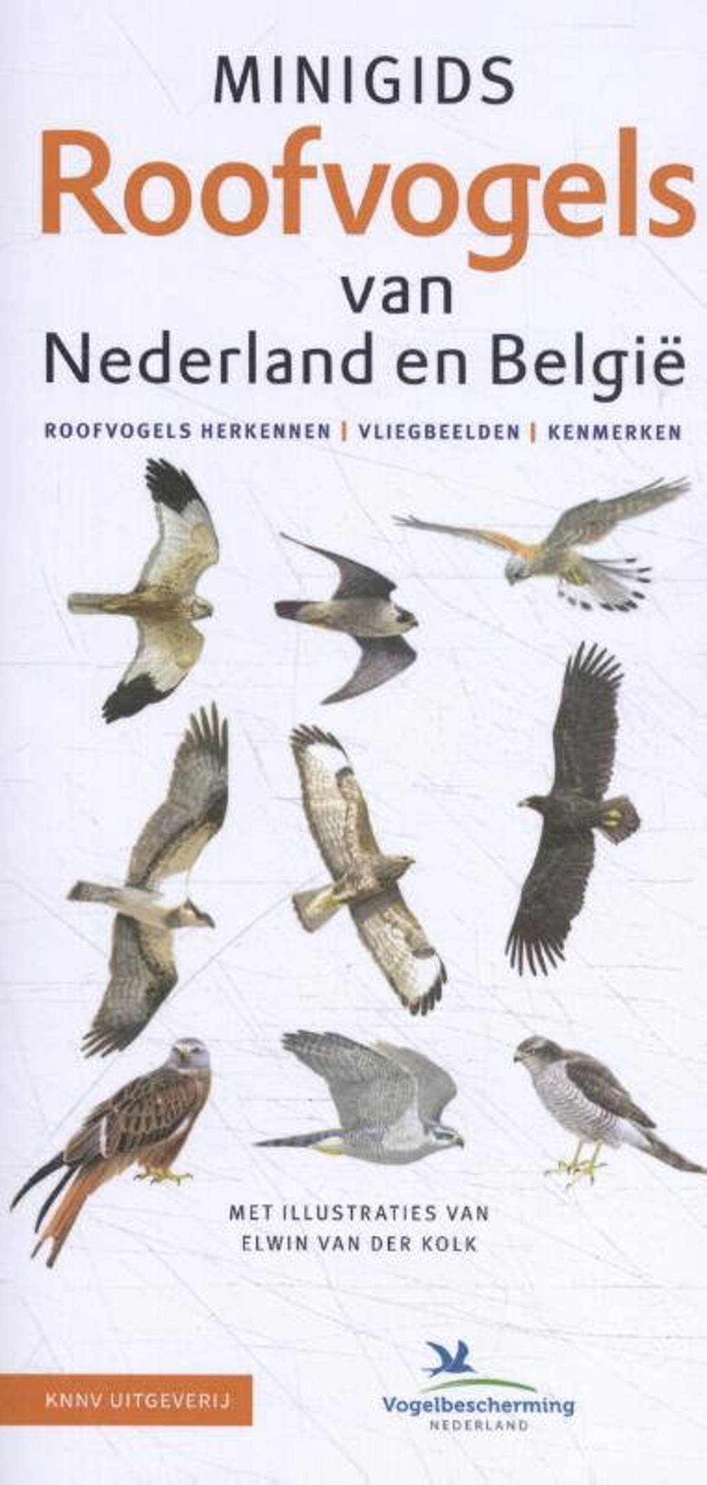 Minigids: Minigids Roofvogels van Nederland en België - Jip Louwe Kooijmans