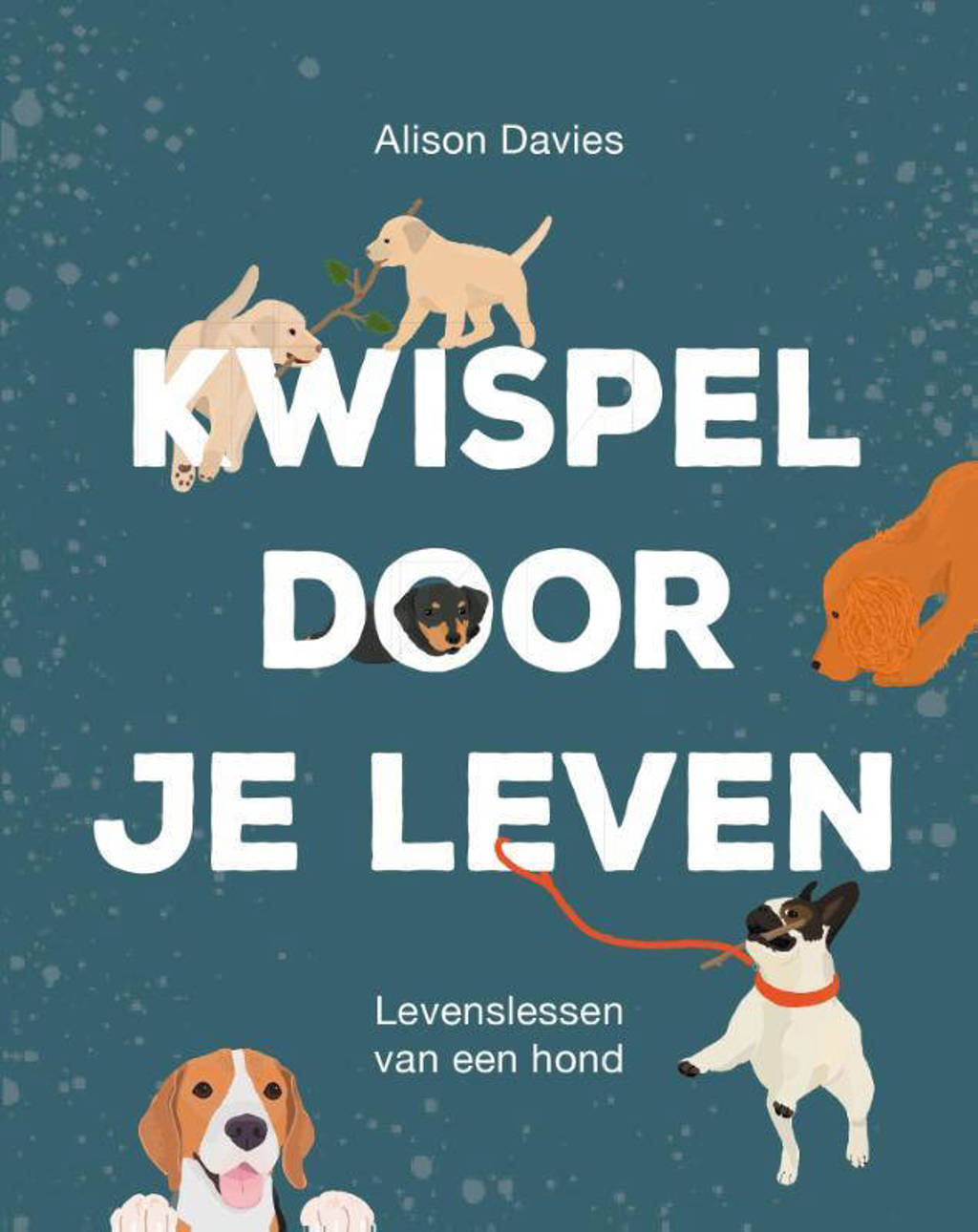 Kwispel door je leven - Alison Davies