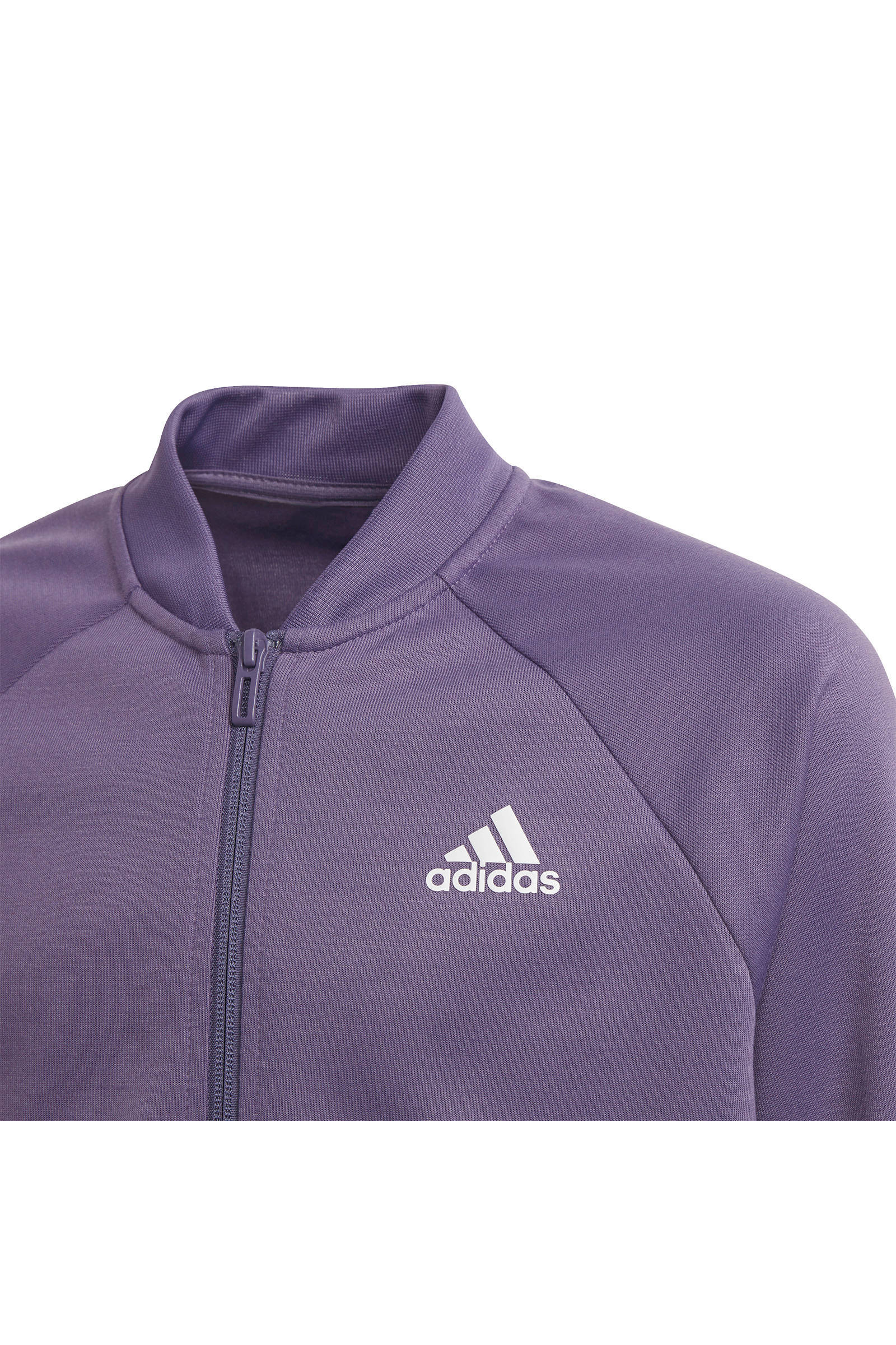 عذراء الصحوة خط الاستواء adidas trainingspak dames paars - ashworkshop.org