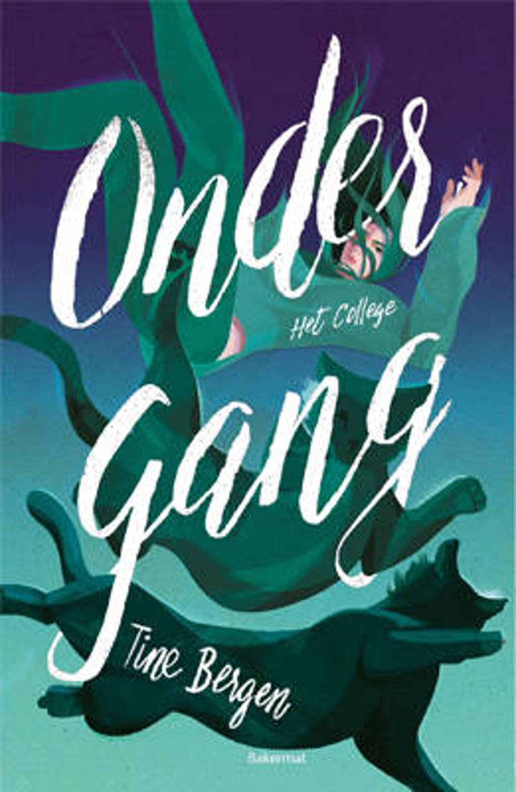 Het college: Ondergang - Tine Bergen