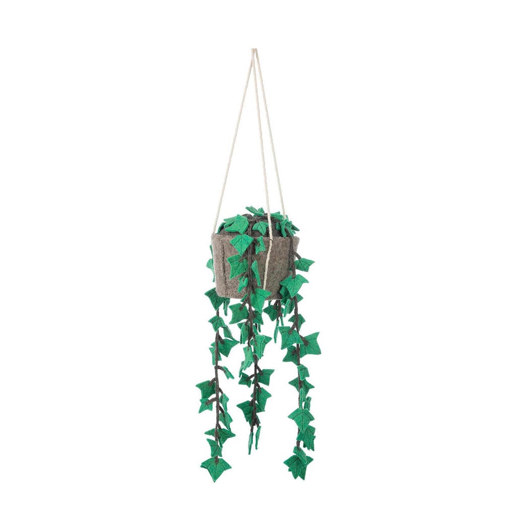 Kidsdepot hangplant Hedera