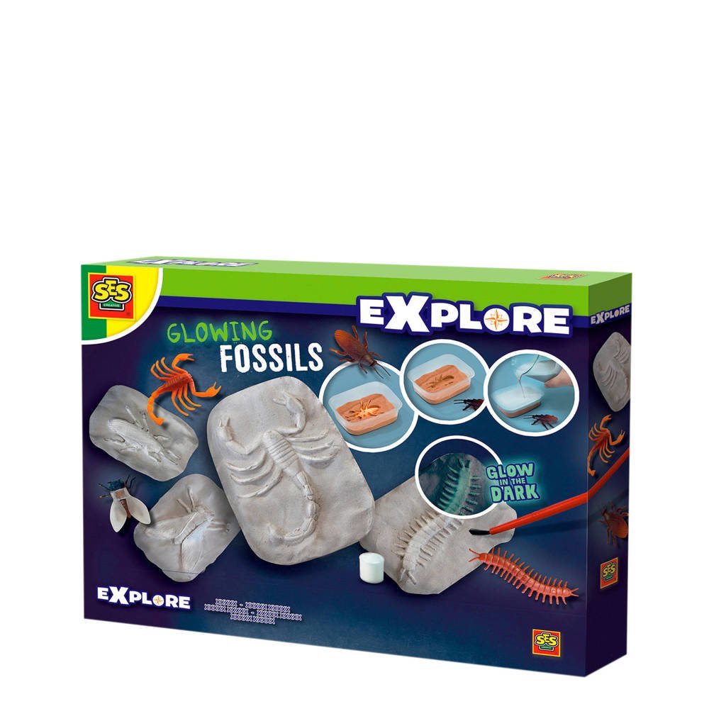 SES Explore Glowing fossils