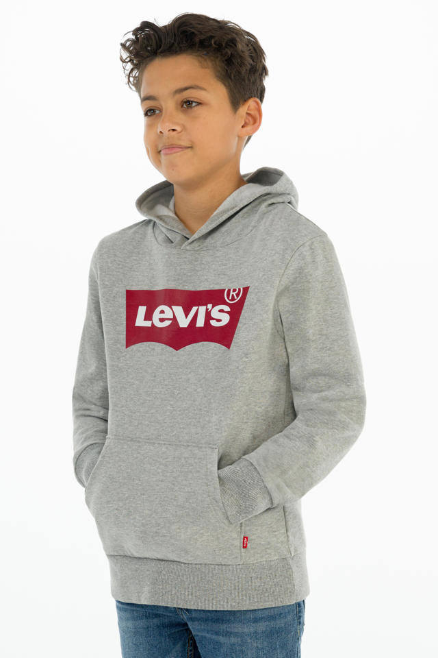 Onmiddellijk Geschikt Traditie Levi's Kids hoodie Batwing met logo grijs melange | wehkamp