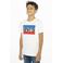 Levi's Kids T-shirt met logo wit/blauw/rood