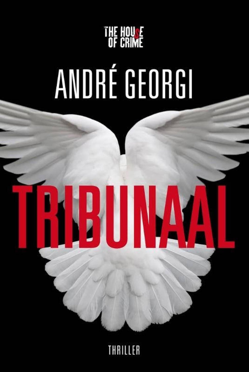 Tribunaal - Andre Georgi en André Georgi