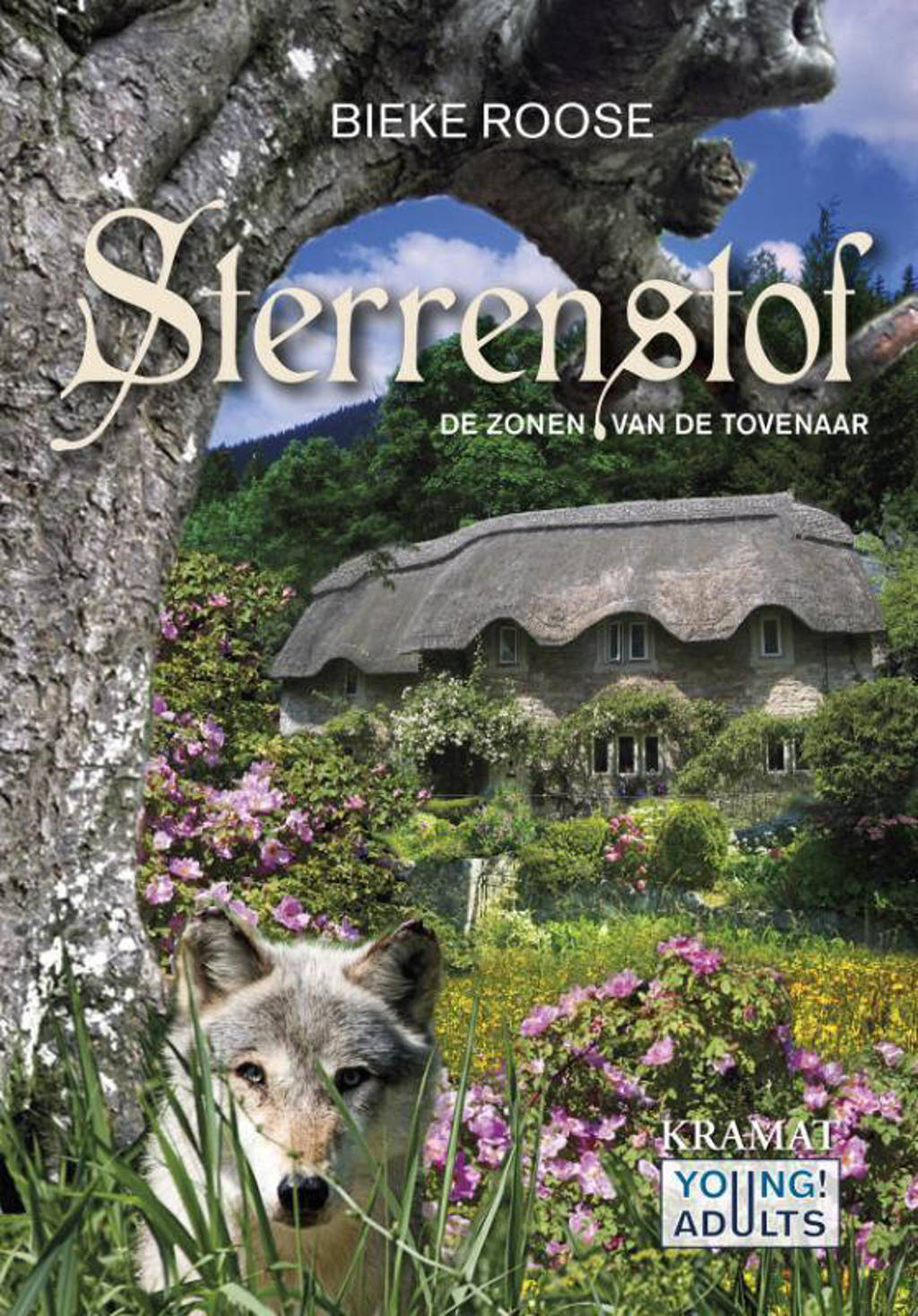 Sterrenstof: De zonen van de tovenaar - Bieke Roose