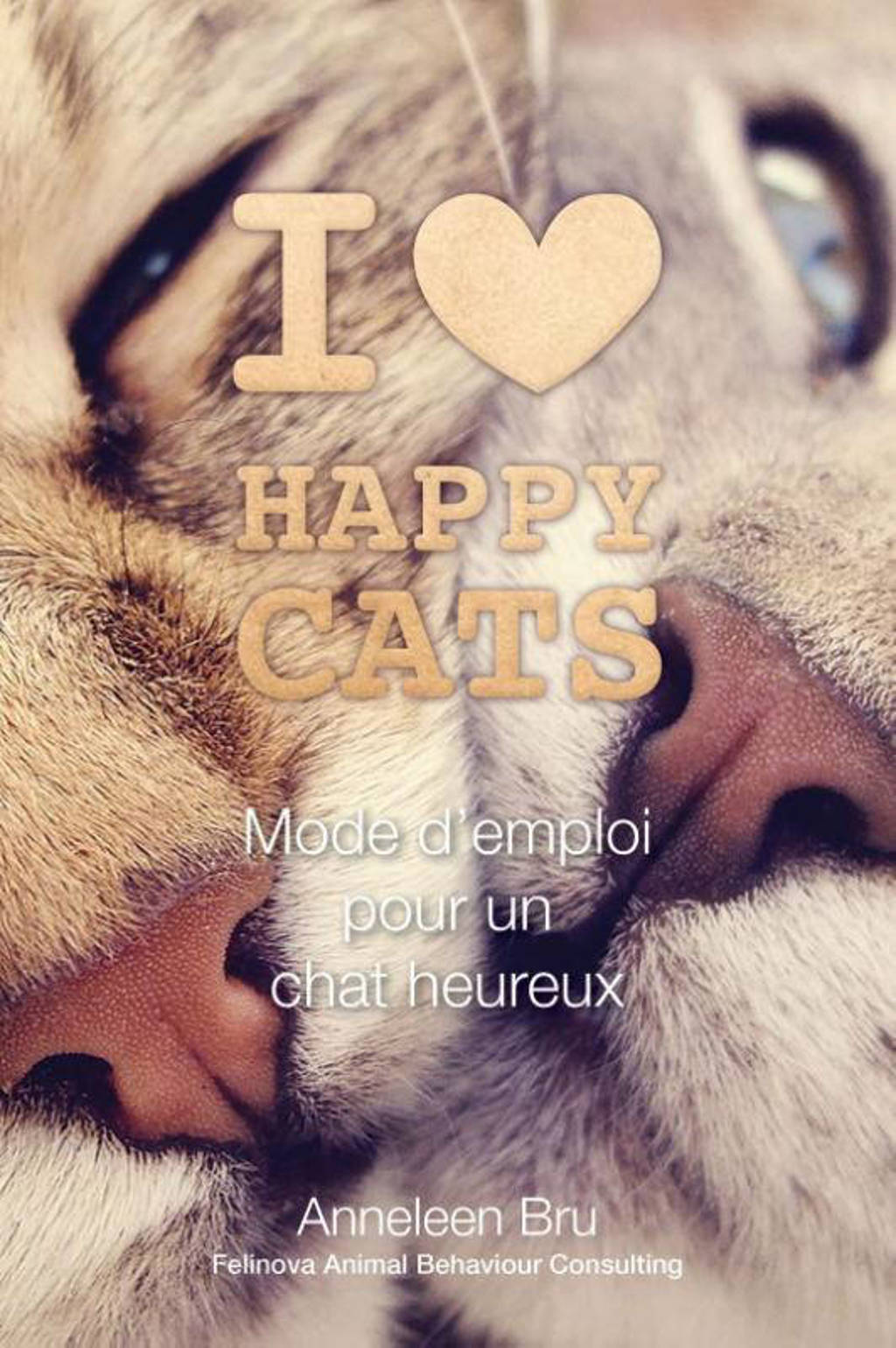 I love Happy Cats: I love Happy Cats - Anneleen Bru