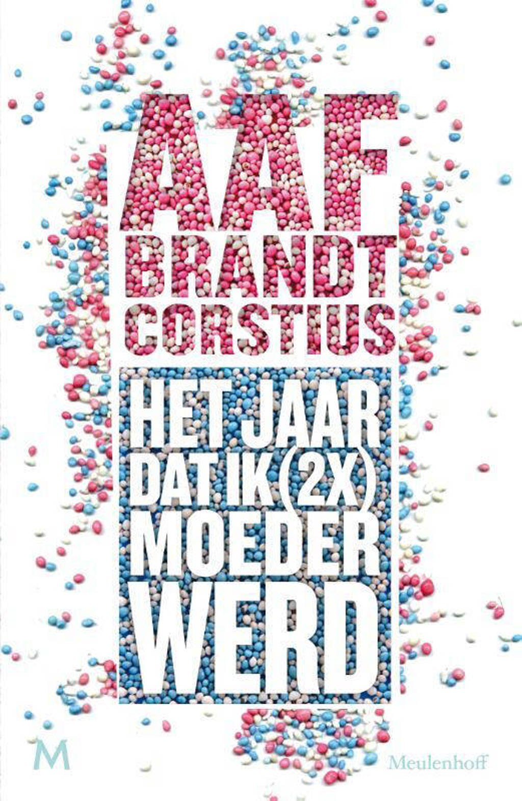 Het jaar dat ik (2x) keer moeder werd - Aaf Brandt Corstius