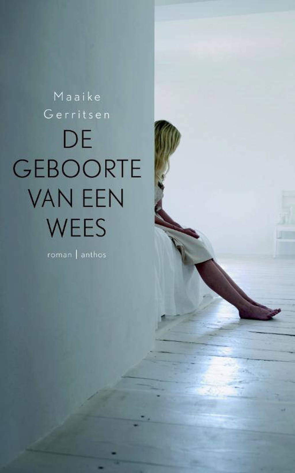 De geboorte van een wees - Maaike Gerritsen