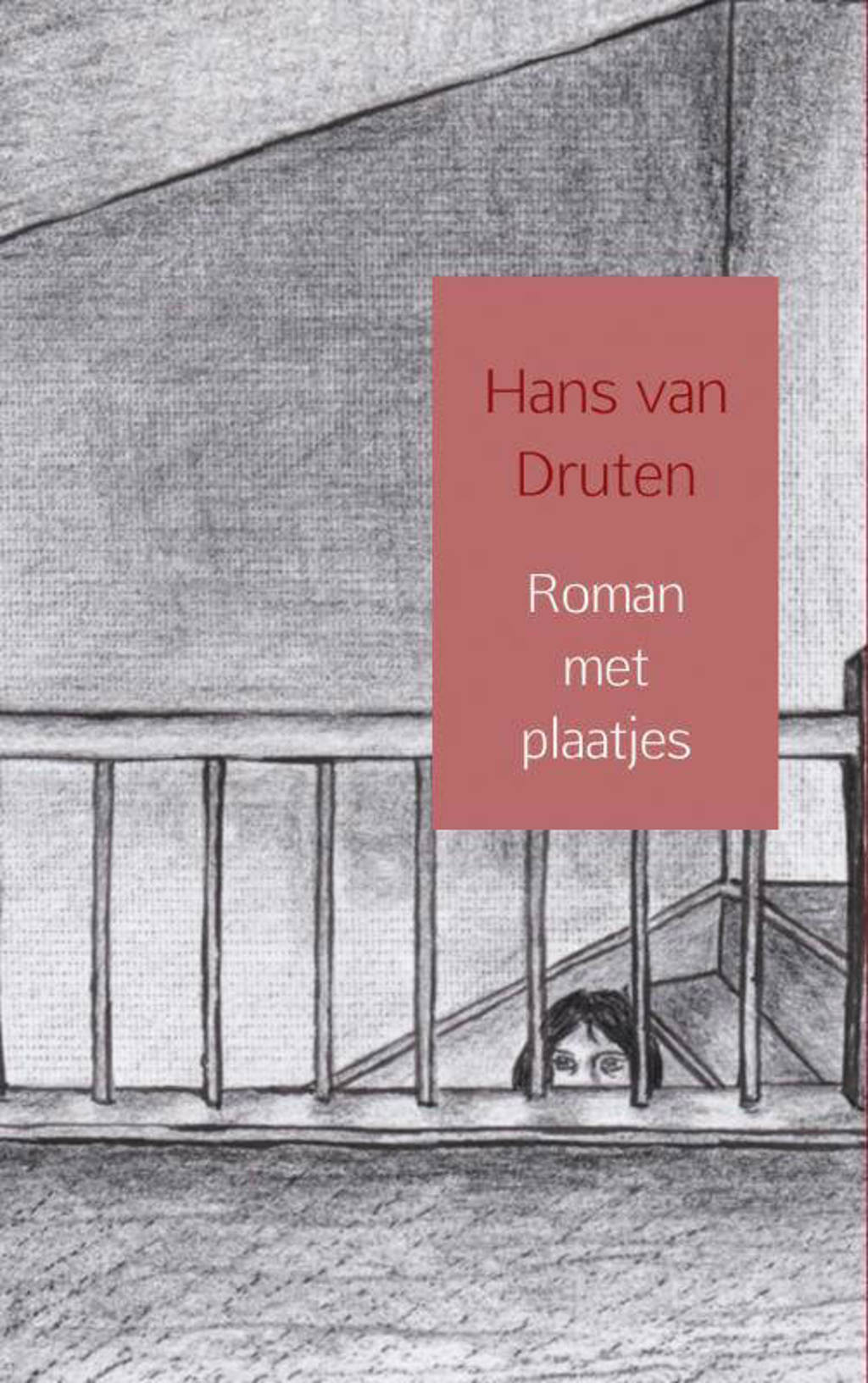 Roman met plaatjes - Hans van Druten