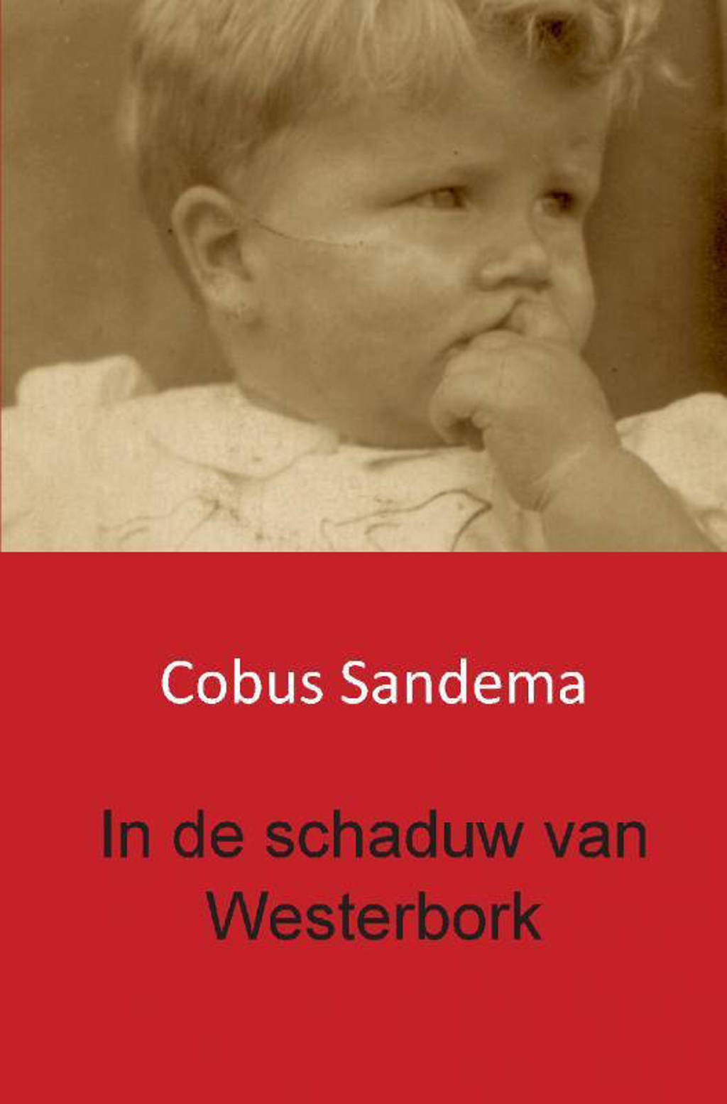 In de schaduw van Westerbork - Cobus Sandema