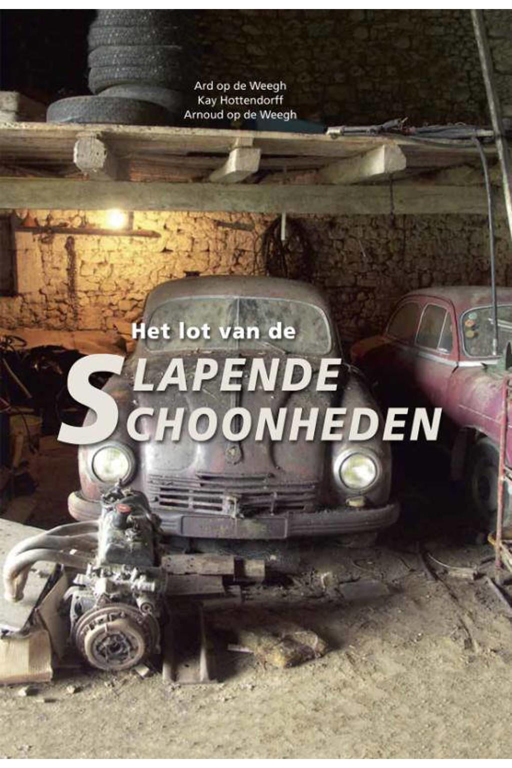 Het lot van de slapende schoonheden - Ard op de Weegh, Kay Hottendorff en Arnoud op de Weegh