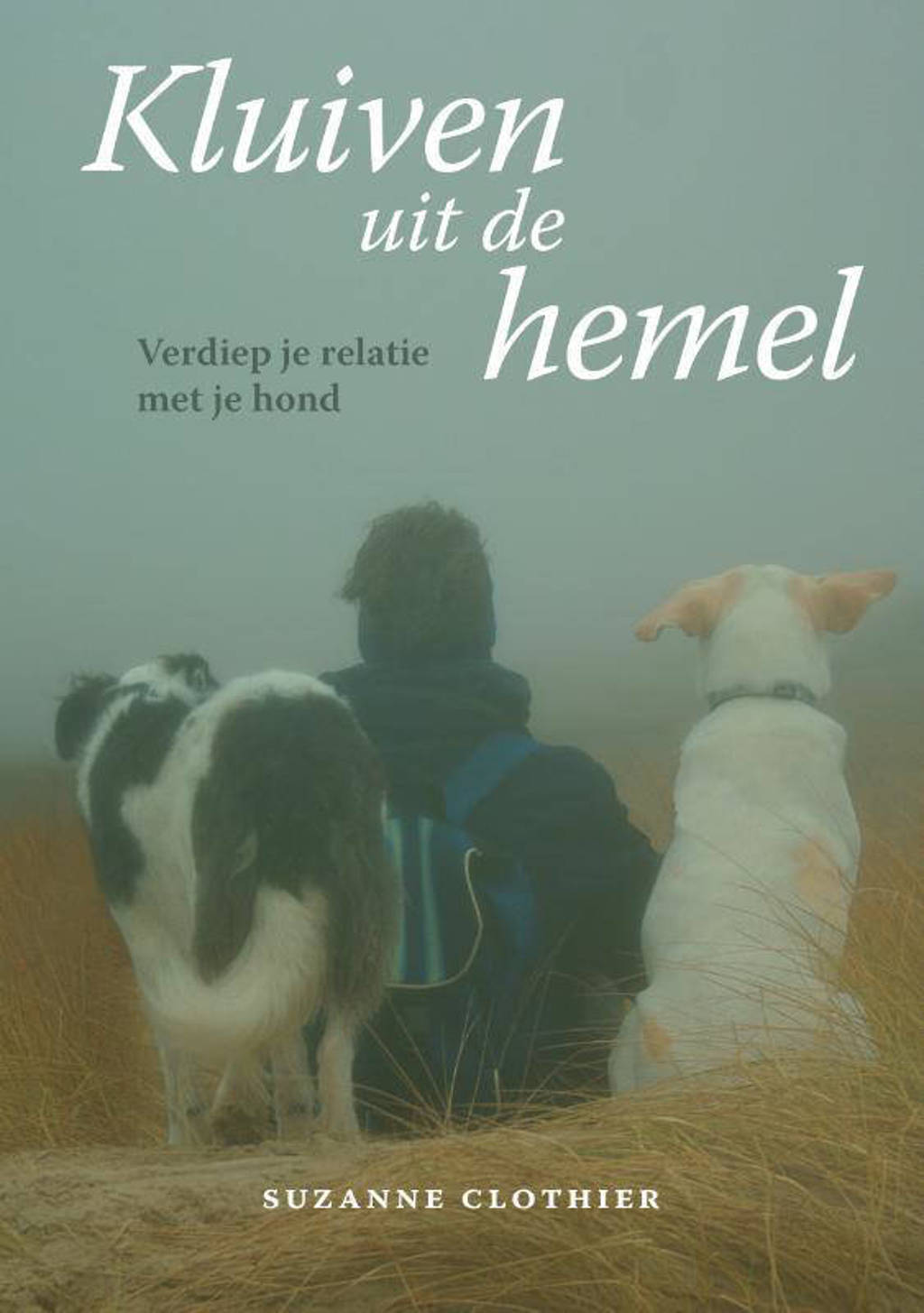 Kluiven uit de hemel - Suzanne Clothier