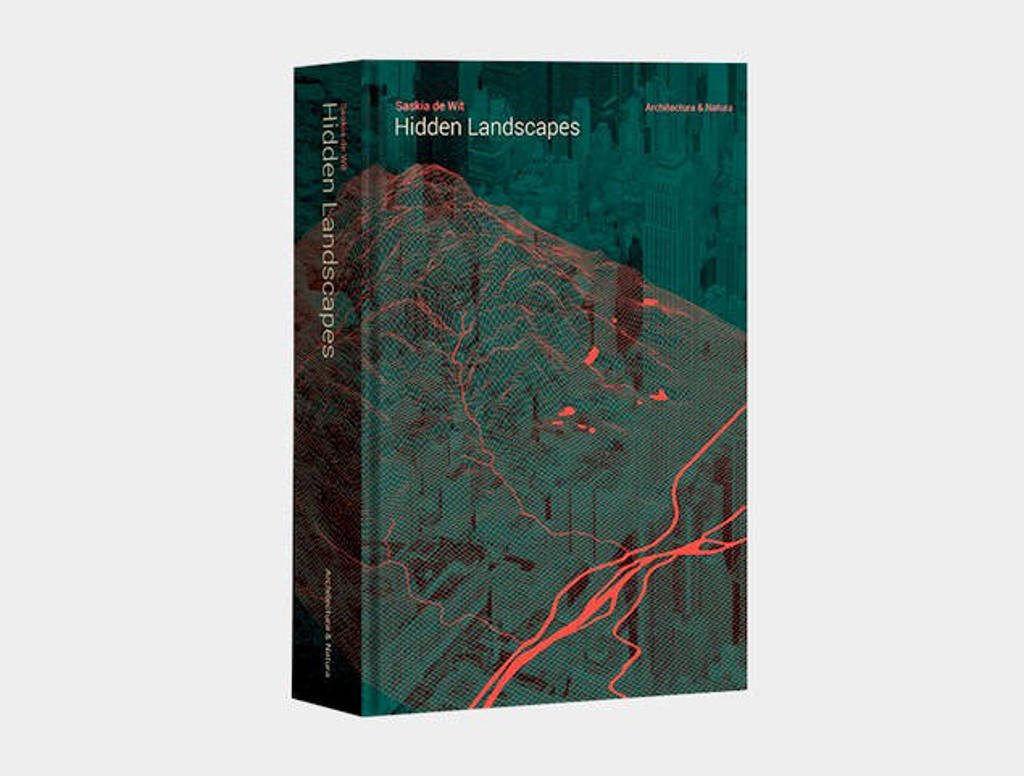 Hidden landscapes - Saskia De Wit