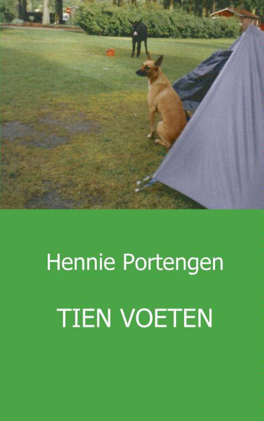 Tien voeten - Hennie Portengen