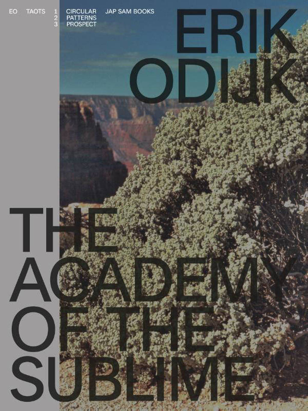 Erik Odijk. The Academy of the Sublime - Ilja Leonard Pfeijffer, Hans Maarten van den Brink, Paul Roncken, e.a.