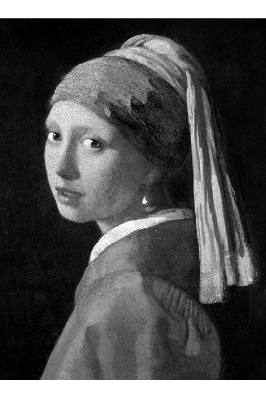 Ludwig Goldscheider en Wayne Franits Phaidon Classics Vermeer wehkamp