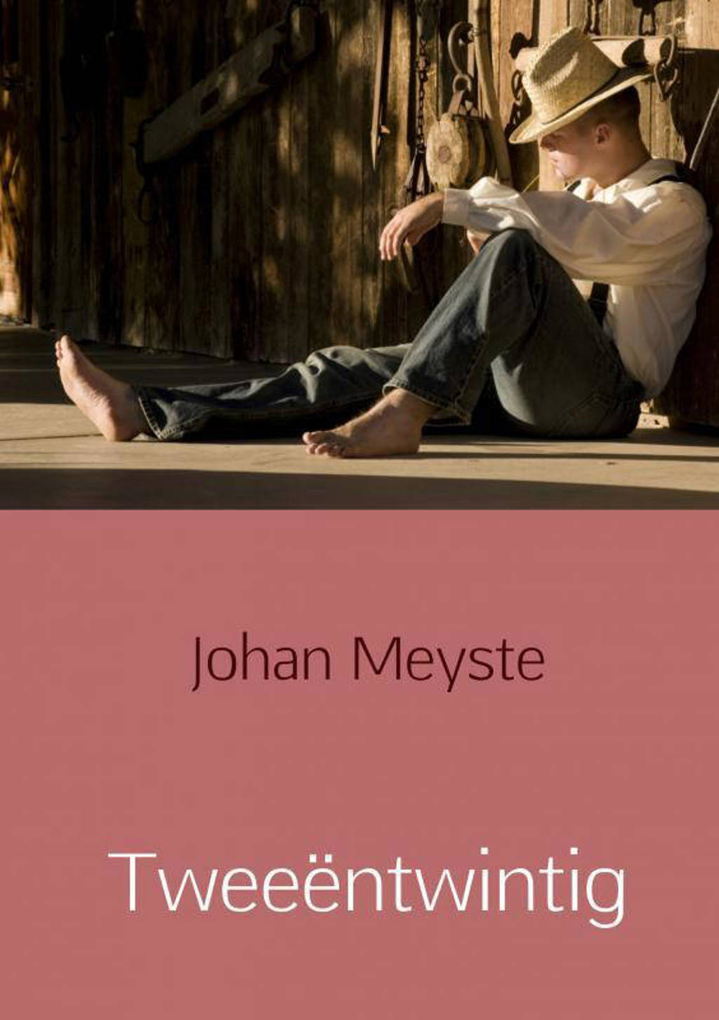 Tweeëntwintig - Johan Meyste