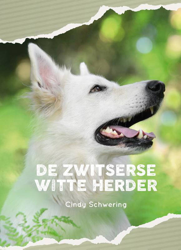 Zwitserse dames schoenen | KLEDING.nl