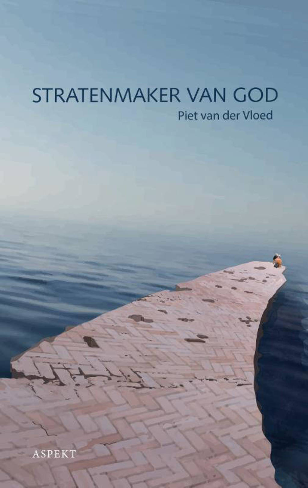 Stratenmaker van God - Piet van der Vloed