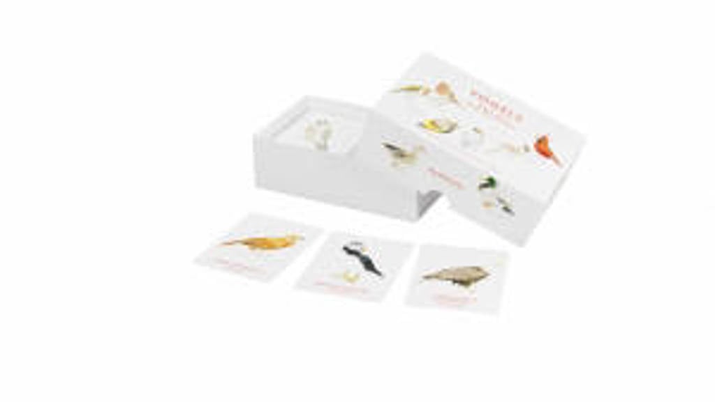 Vogels - Christine Berrie