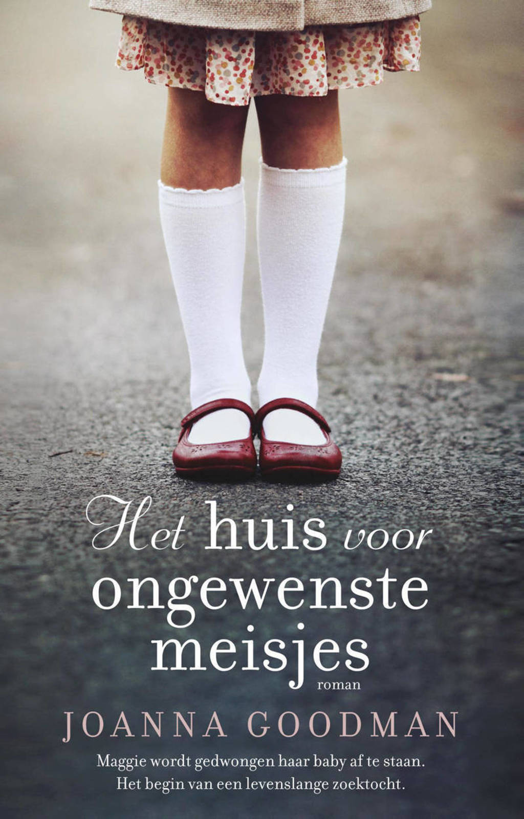 Het huis voor ongewenste meisjes - Joanna Goodman