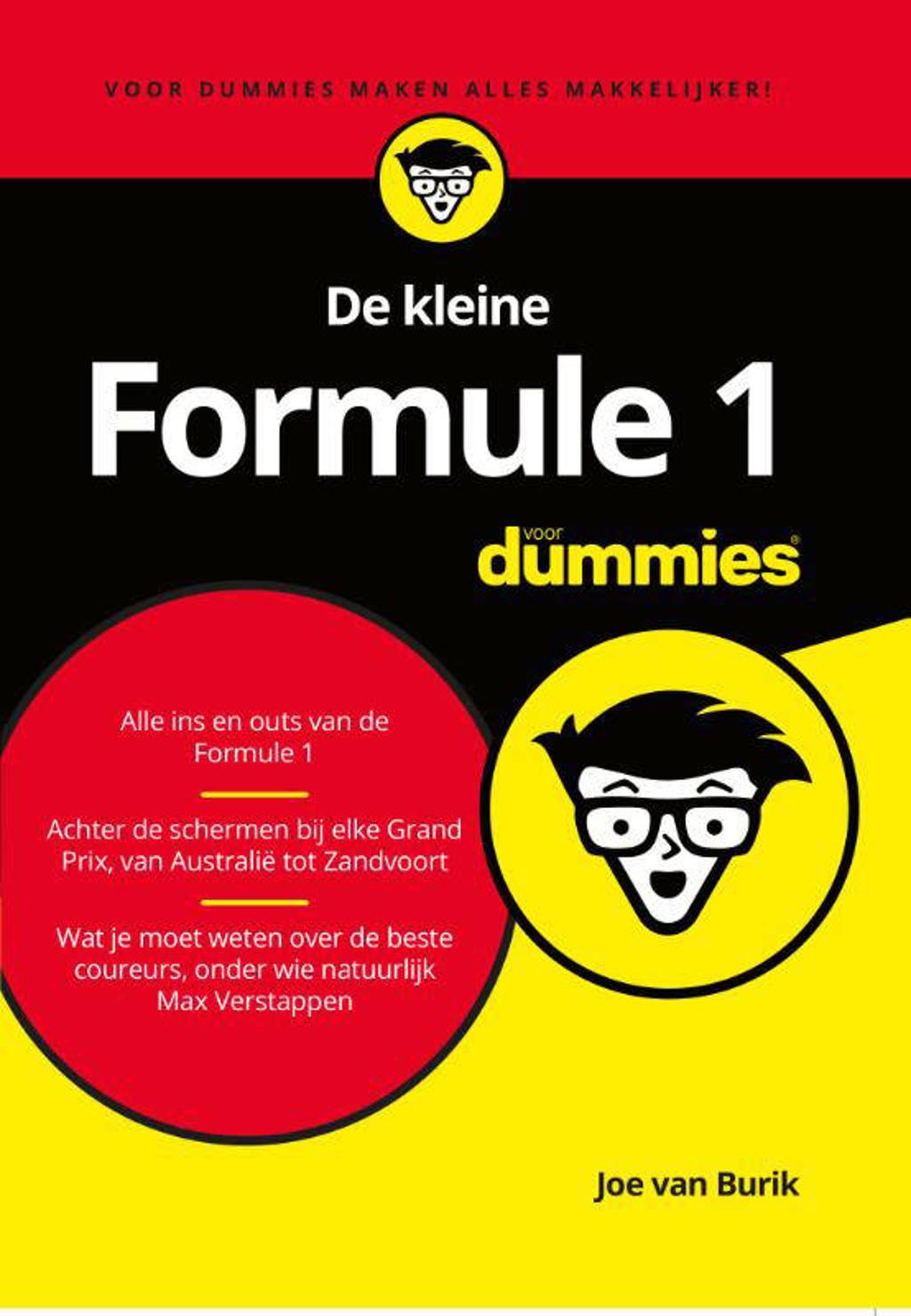 De kleine Formule 1 voor Dummies - Joe van Burik