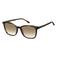 Tommy Hilfiger zonnebril TH 1723/S met tortoise print bruin
