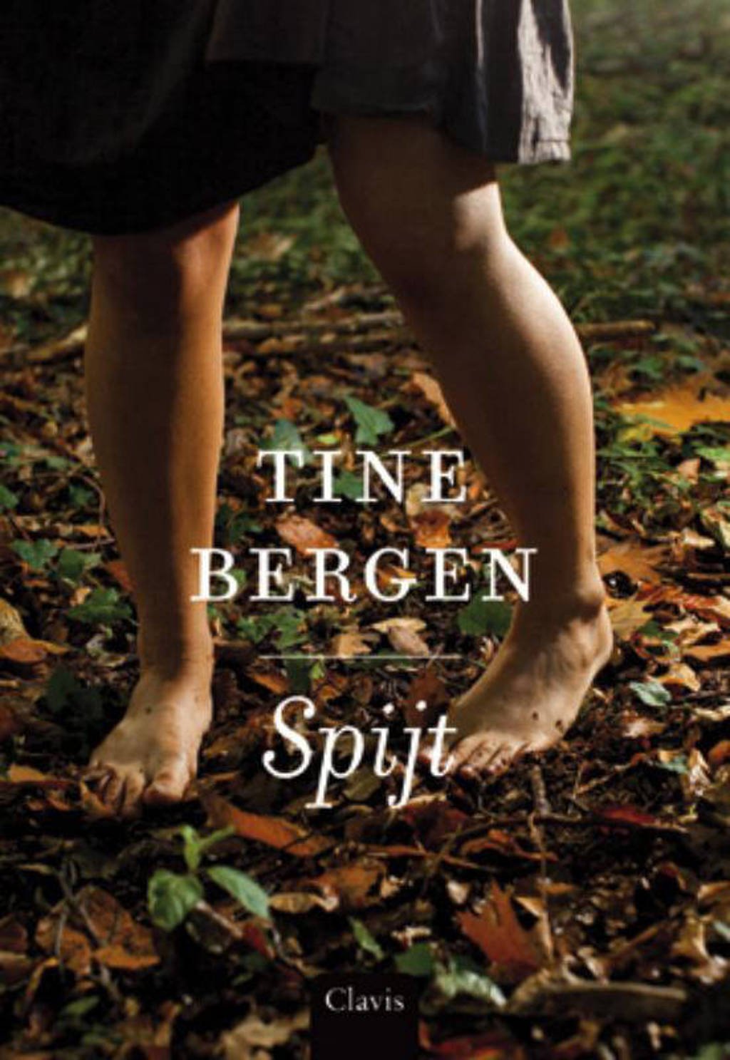 Spijt - Tine Bergen