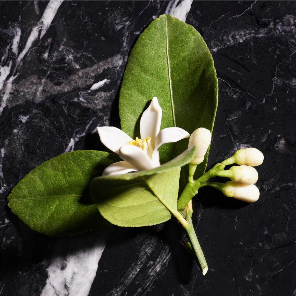 JOOP! Homme eau de toilette 200 ml wehkamp