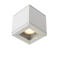 Lucide plafondlamp Aven