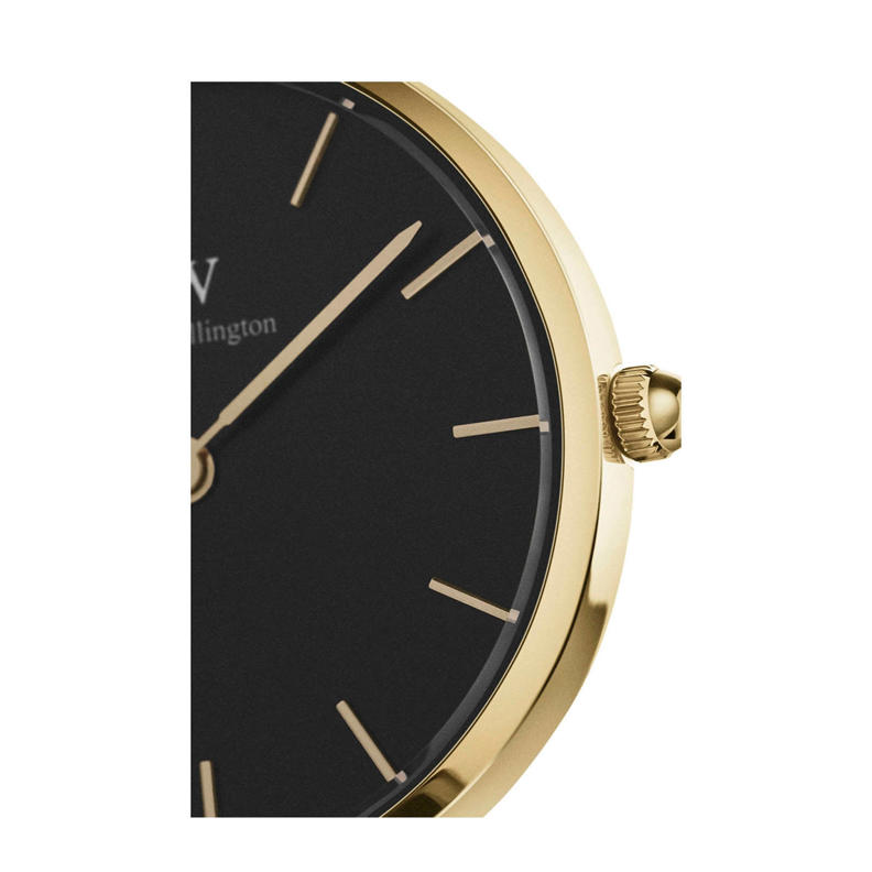 Watch Women, Silver Reloj Daniel Wellington Petite Evergold Mujer