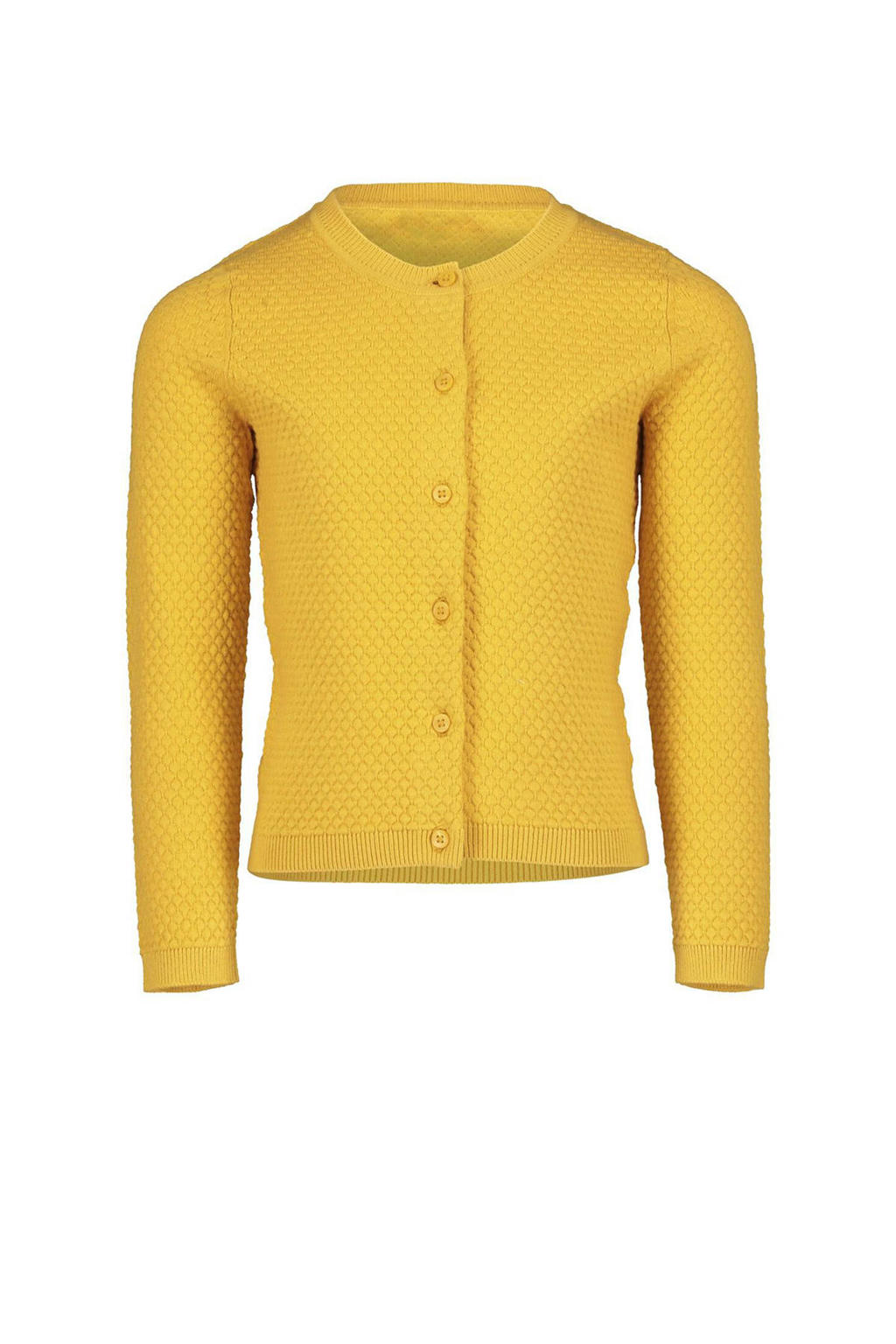 HEMA vest geel kopen? in huis wehkamp