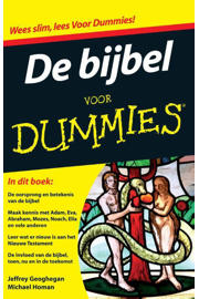 Jeffrey Geoghegan en Michael Homan Voor Dummies: De bijbel voor dummies ...