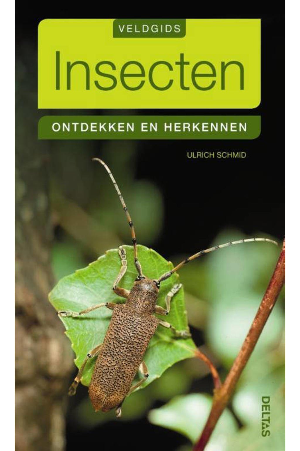 Veldgids: Insecten - Ulrich Schmid
