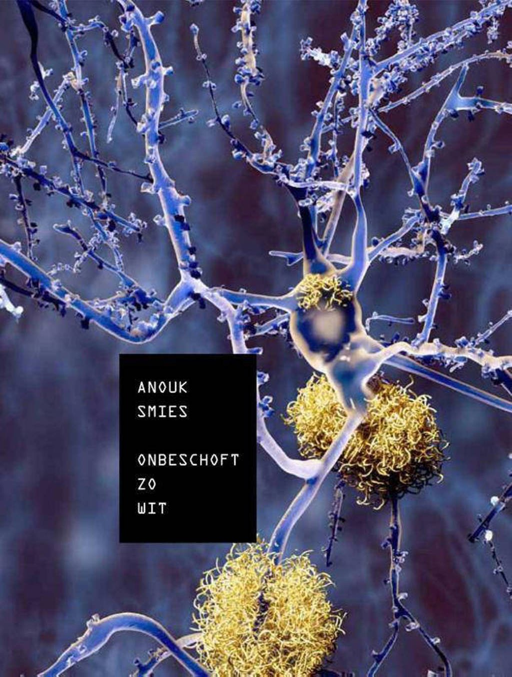 Onbeschoft, zo wit - Anouk Smies