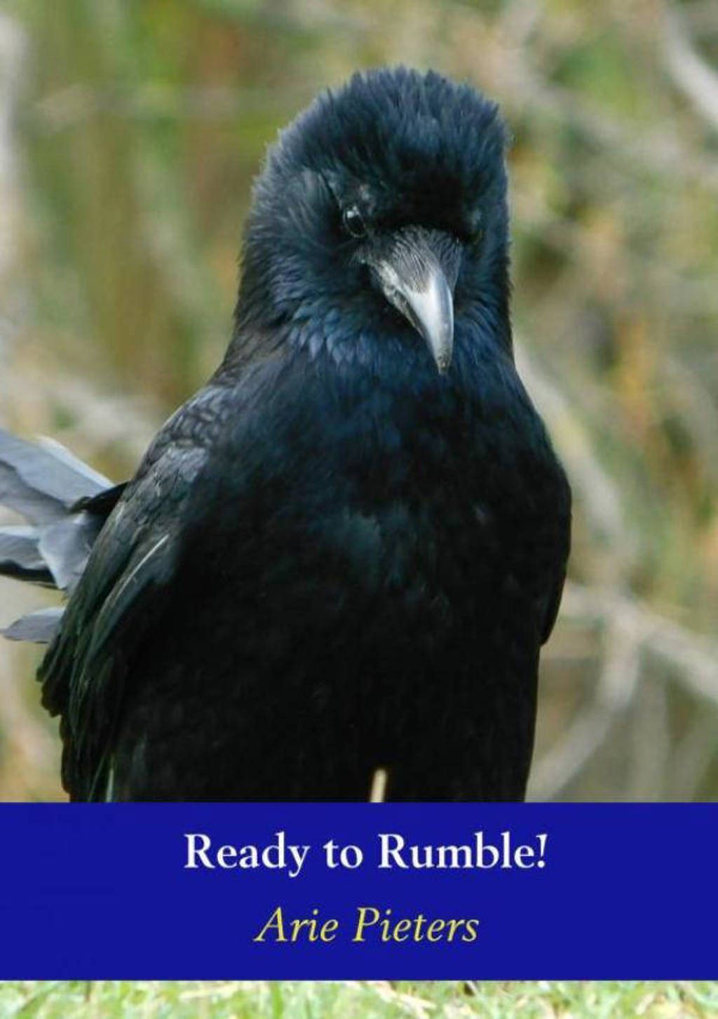 Ready to Rumble! - Arie Pieters