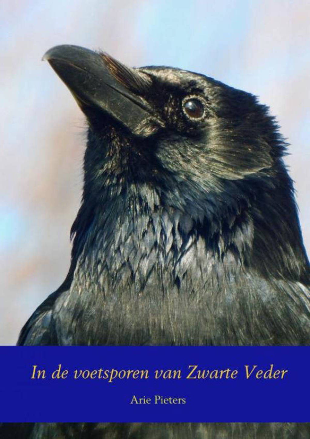 In de voetsporen van Zwarte Veder - Arie Pieters